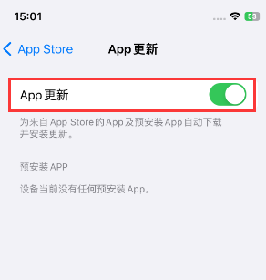 大同苹果15维修中心如何让iPhone15APP自动更新